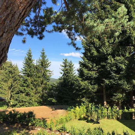 Apartmány Pinie Lipno Lipno nad Vltavou Pokój zdjęcie