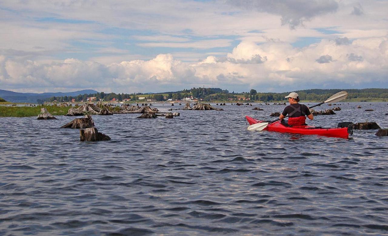 Apartmány Pinie Lipno Lipno nad Vltavou Zewnętrze zdjęcie