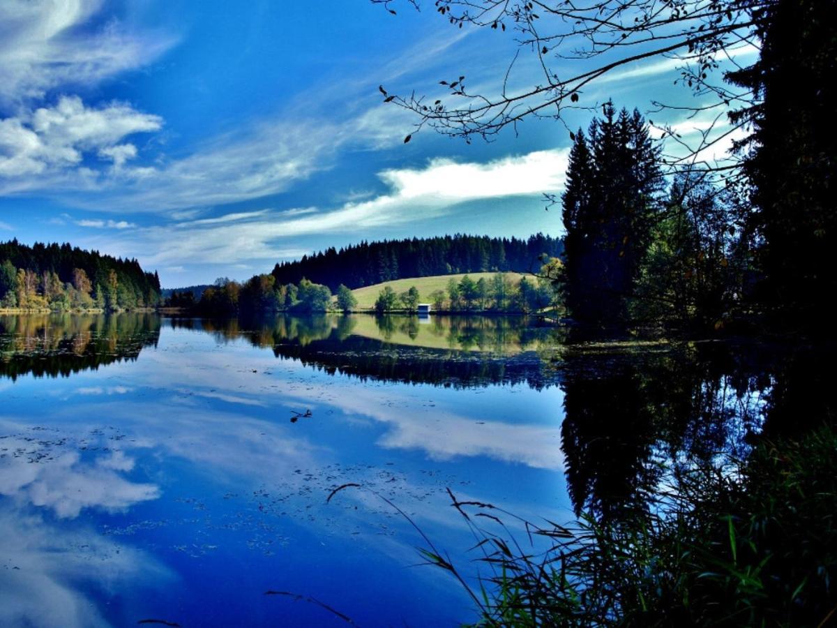 Apartmány Pinie Lipno Lipno nad Vltavou Zewnętrze zdjęcie
