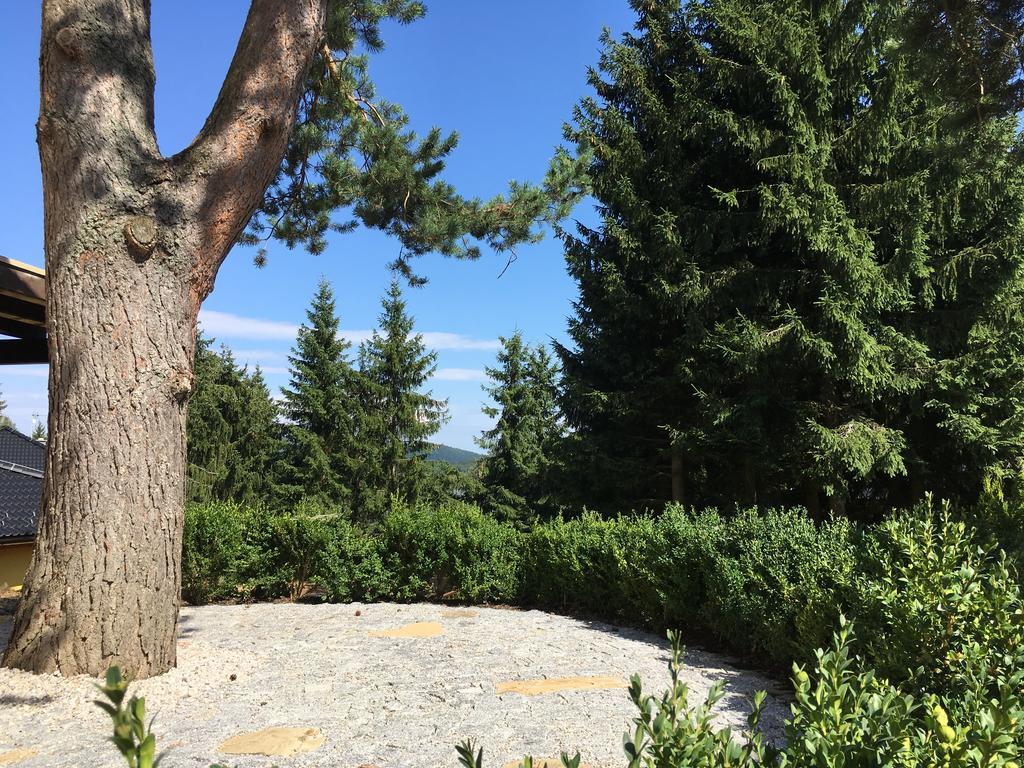 Apartmány Pinie Lipno Lipno nad Vltavou Zewnętrze zdjęcie