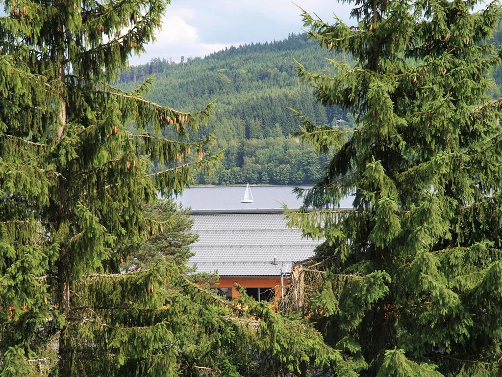 Apartmány Pinie Lipno Lipno nad Vltavou Zewnętrze zdjęcie