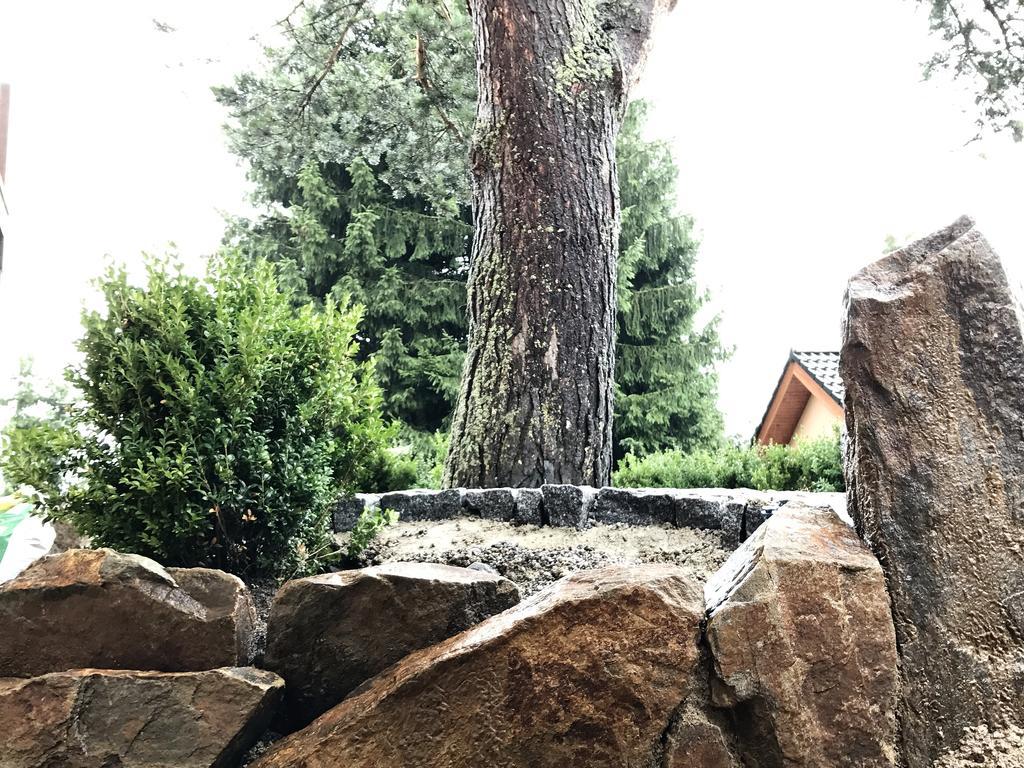 Apartmány Pinie Lipno Lipno nad Vltavou Zewnętrze zdjęcie