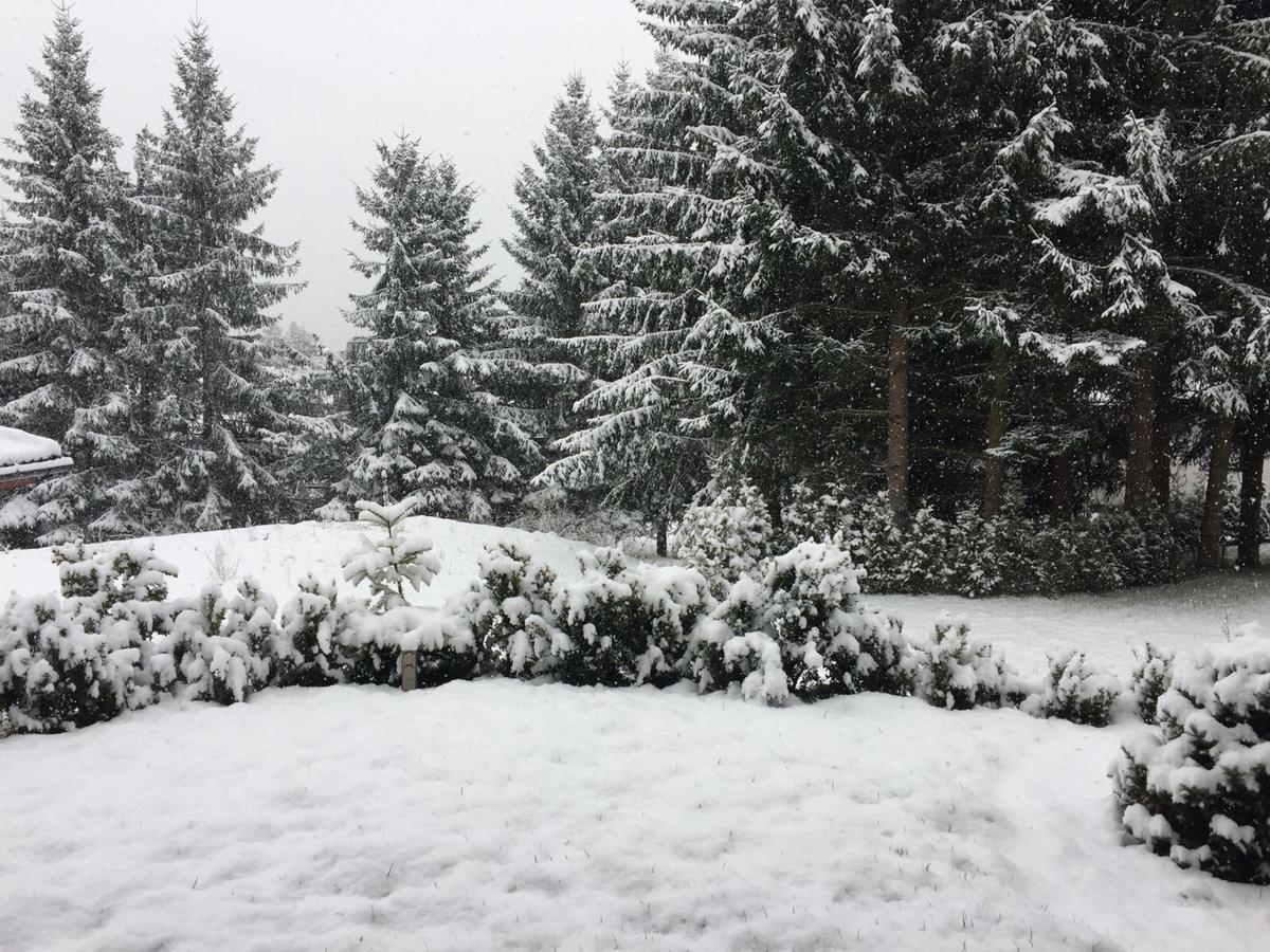 Apartmány Pinie Lipno Lipno nad Vltavou Zewnętrze zdjęcie