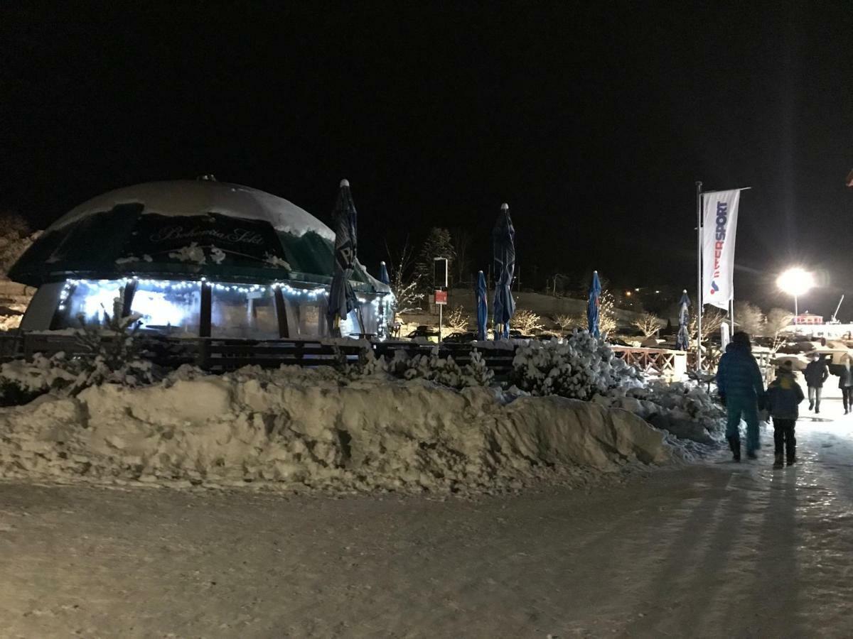 Apartmány Pinie Lipno Lipno nad Vltavou Zewnętrze zdjęcie
