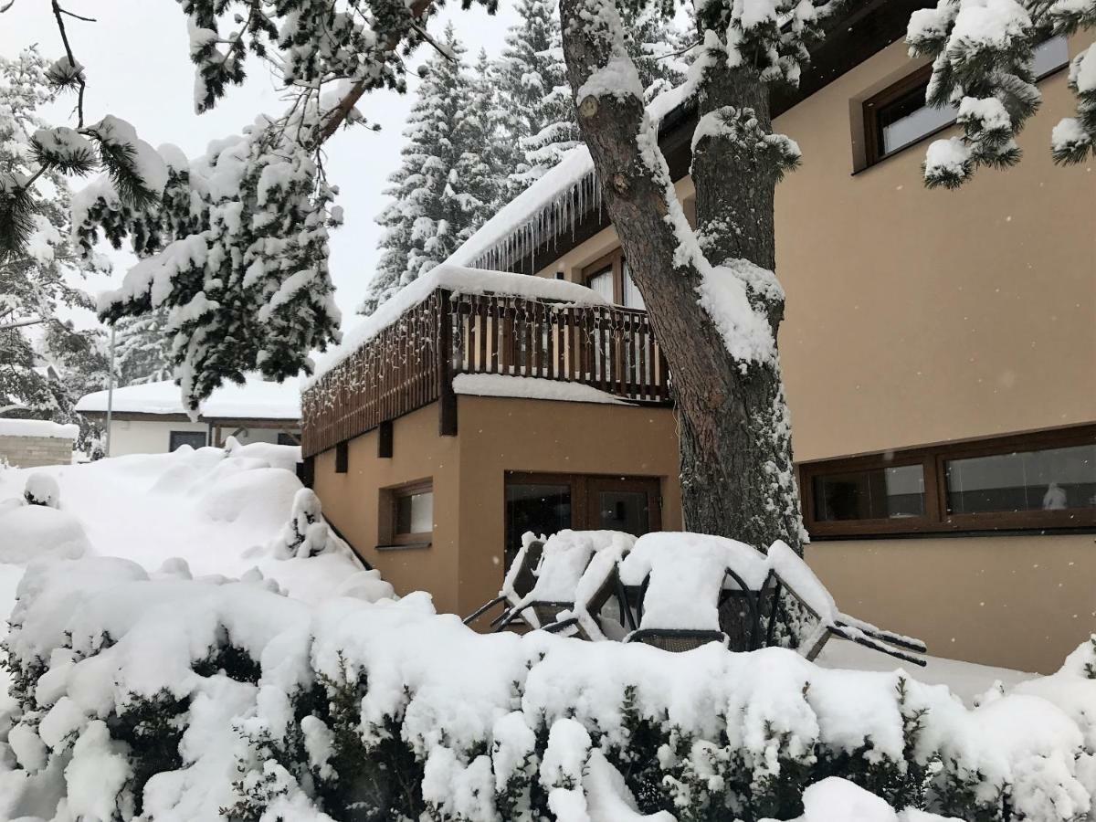 Apartmány Pinie Lipno Lipno nad Vltavou Zewnętrze zdjęcie