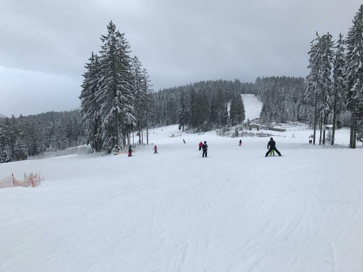 Apartmány Pinie Lipno Lipno nad Vltavou Zewnętrze zdjęcie