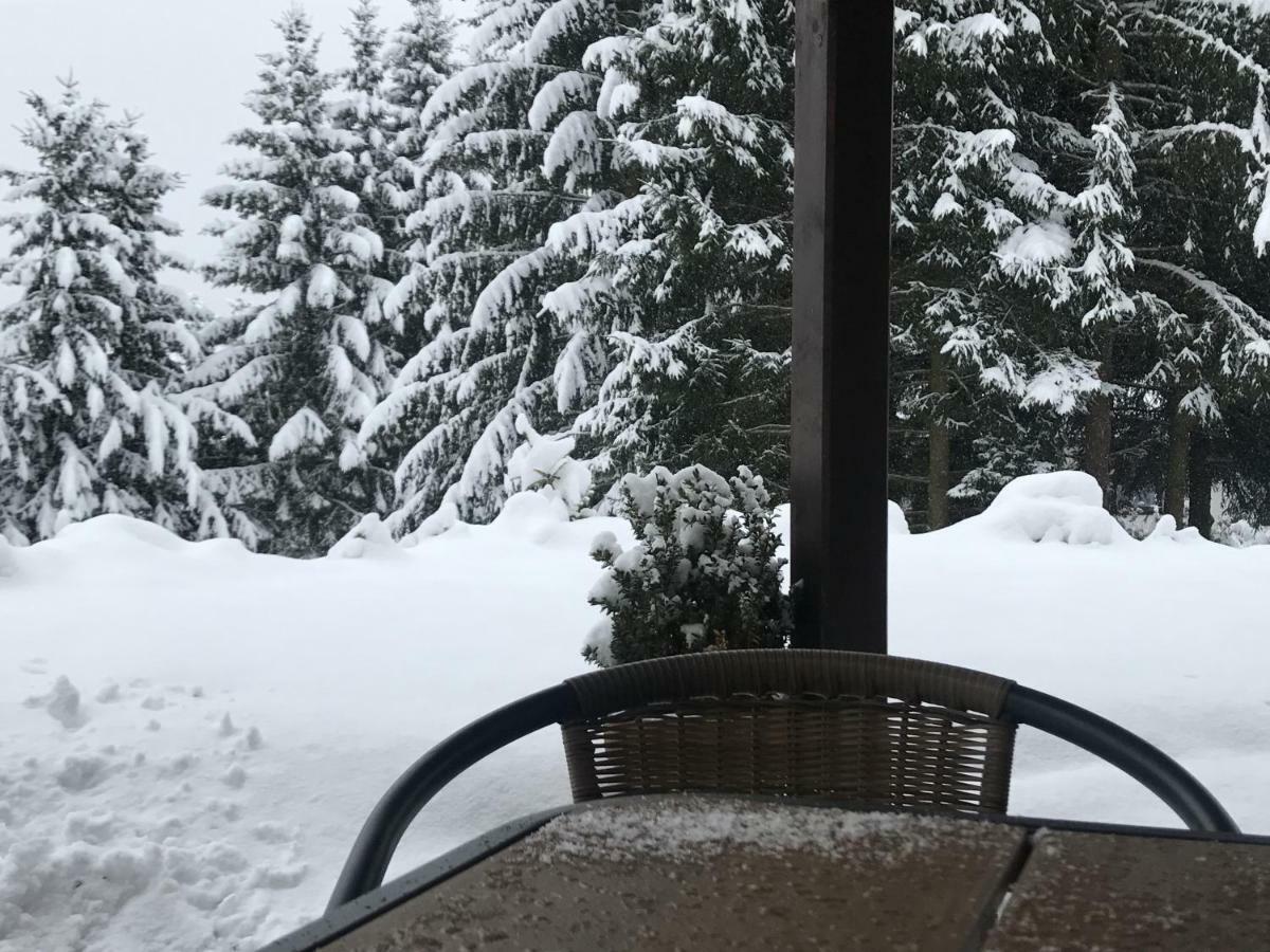 Apartmány Pinie Lipno Lipno nad Vltavou Zewnętrze zdjęcie