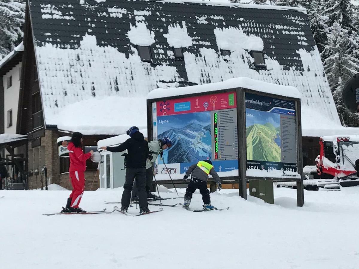 Apartmány Pinie Lipno Lipno nad Vltavou Zewnętrze zdjęcie