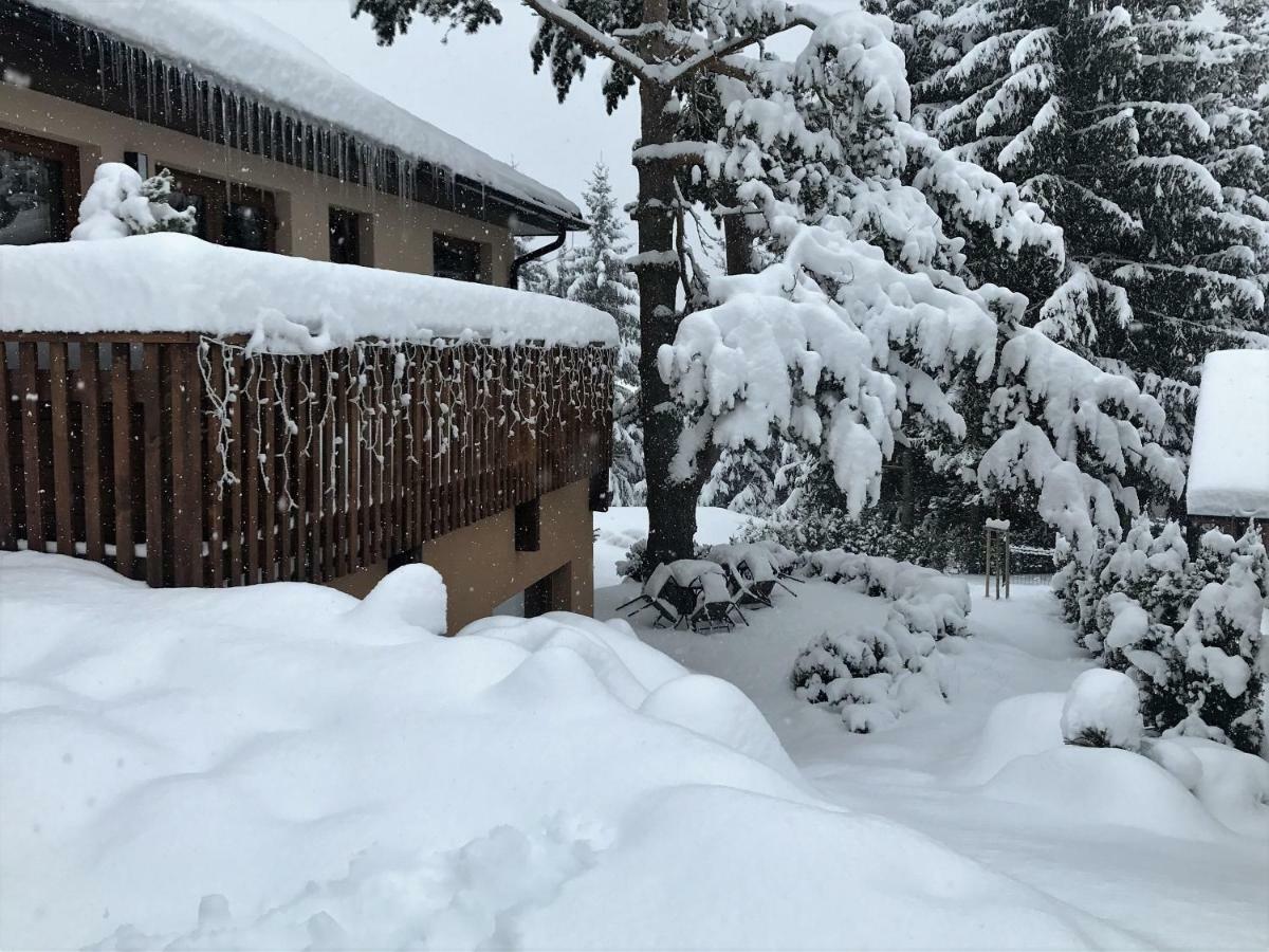 Apartmány Pinie Lipno Lipno nad Vltavou Zewnętrze zdjęcie