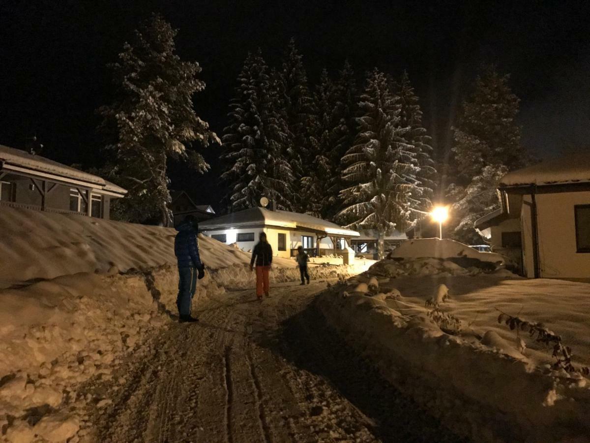 Apartmány Pinie Lipno Lipno nad Vltavou Zewnętrze zdjęcie