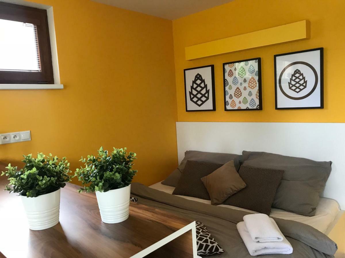 Apartmány Pinie Lipno Lipno nad Vltavou Zewnętrze zdjęcie